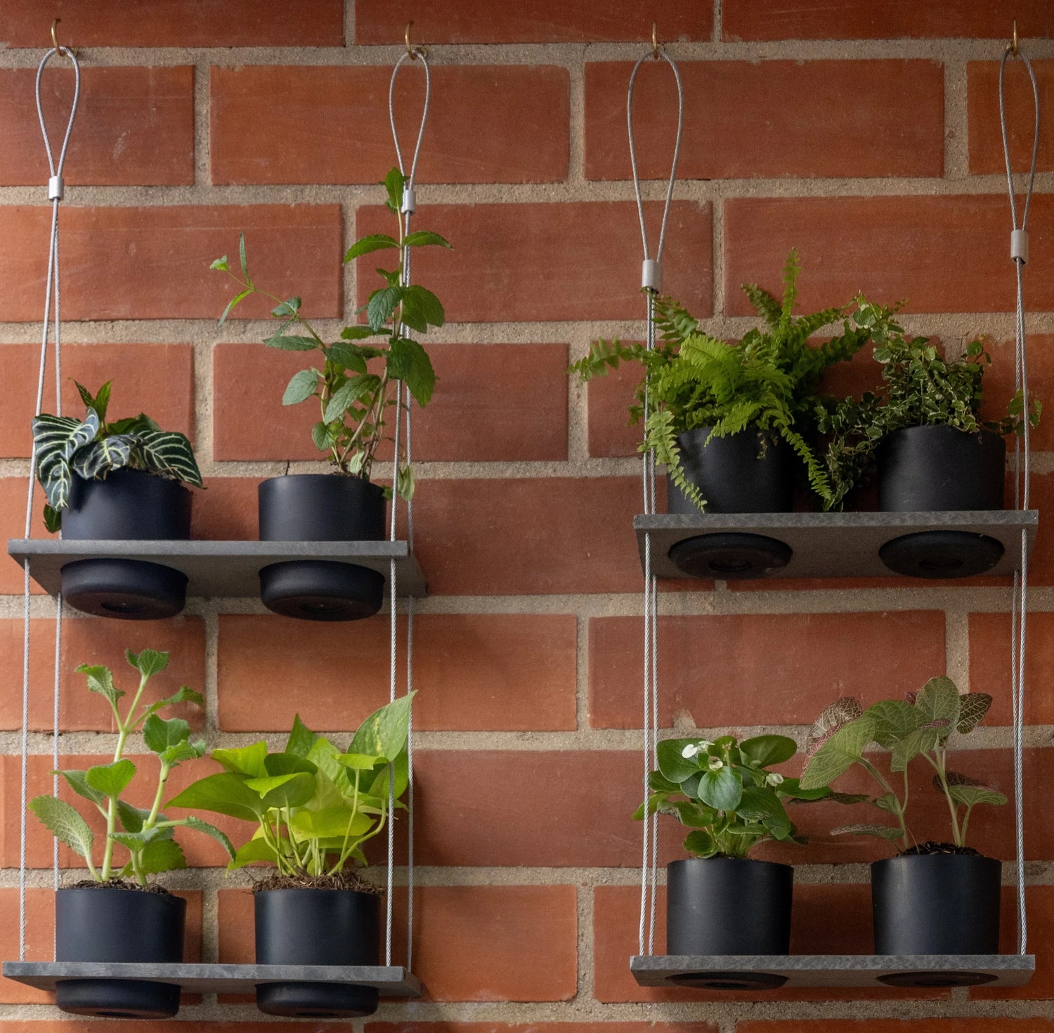 Floating Green: How to Design Vertical Plant Displays with Hanging Garden Shelves