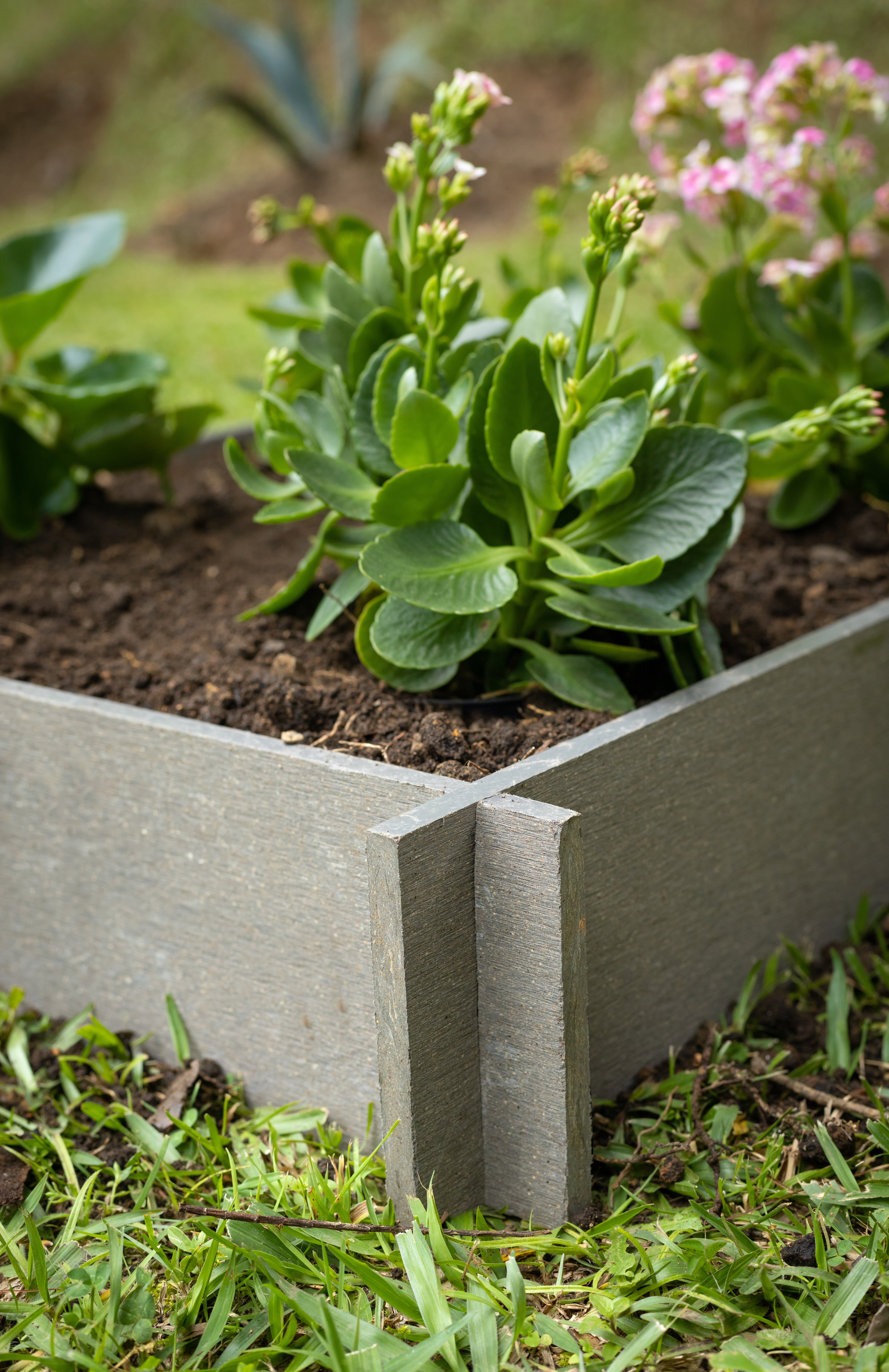 Bacs et jardiniA¨res Amazon.com : JONATHAN Y BNH104A Apollo 51.2