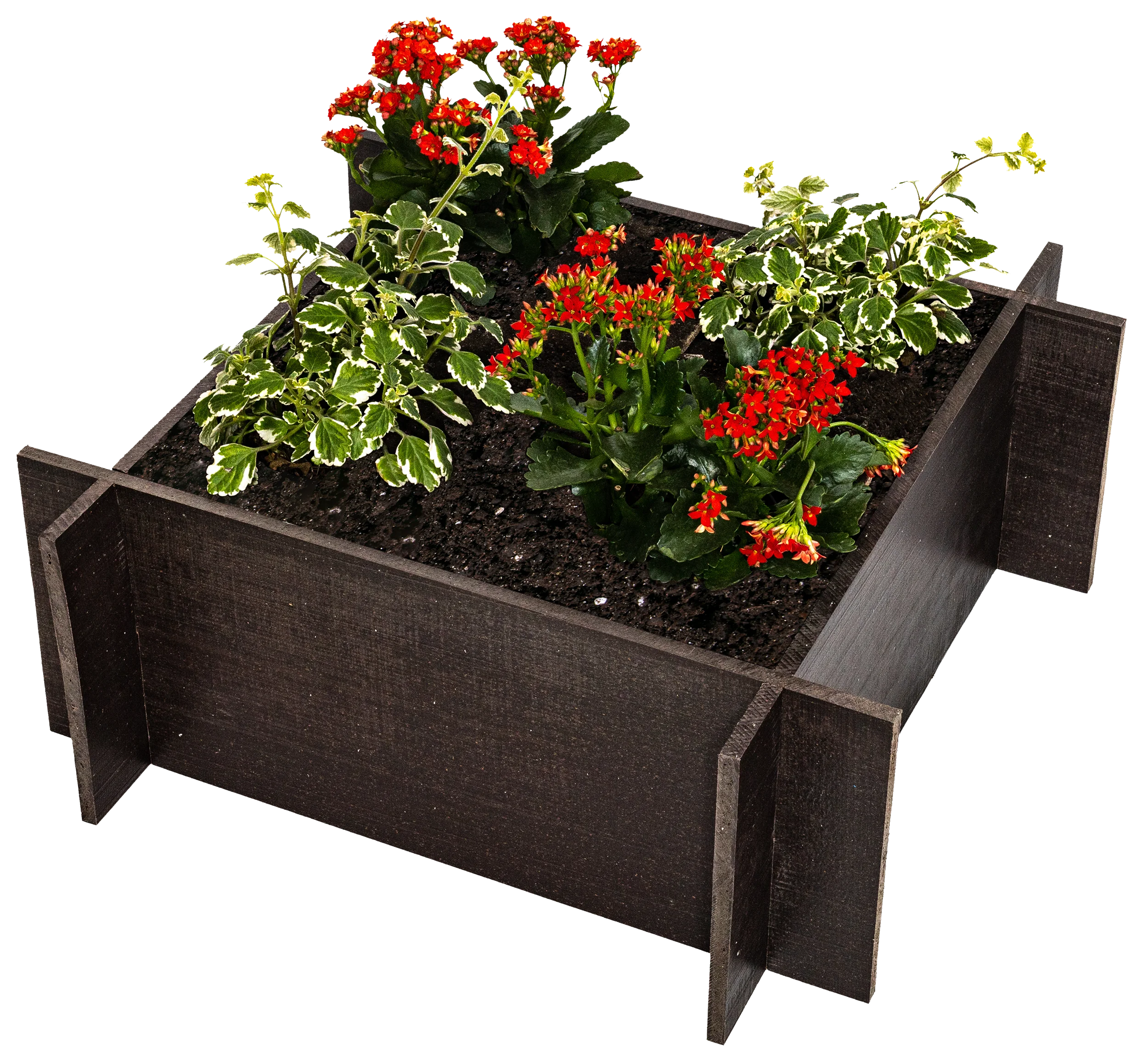 OUTLET - Raised Garden Beds