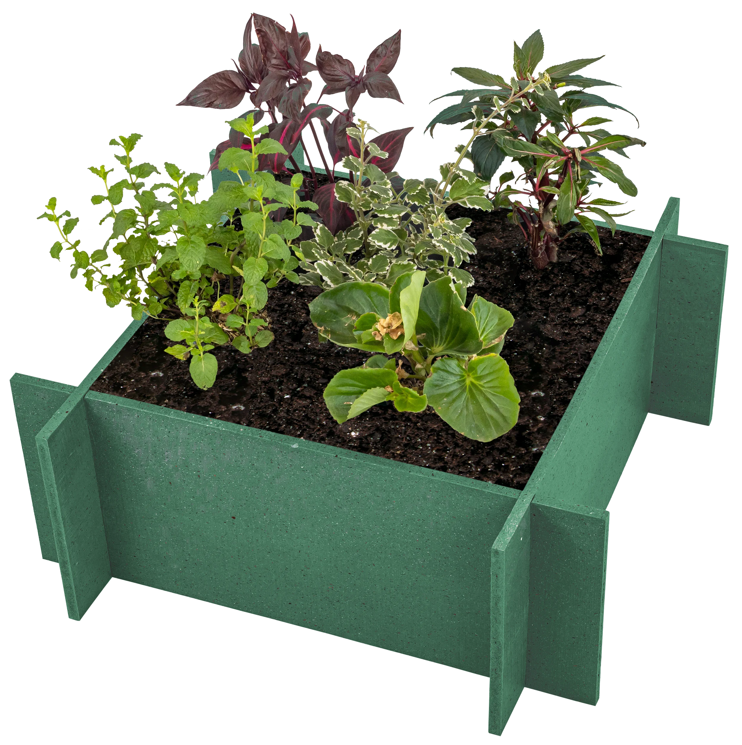 OUTLET - Raised Garden Beds