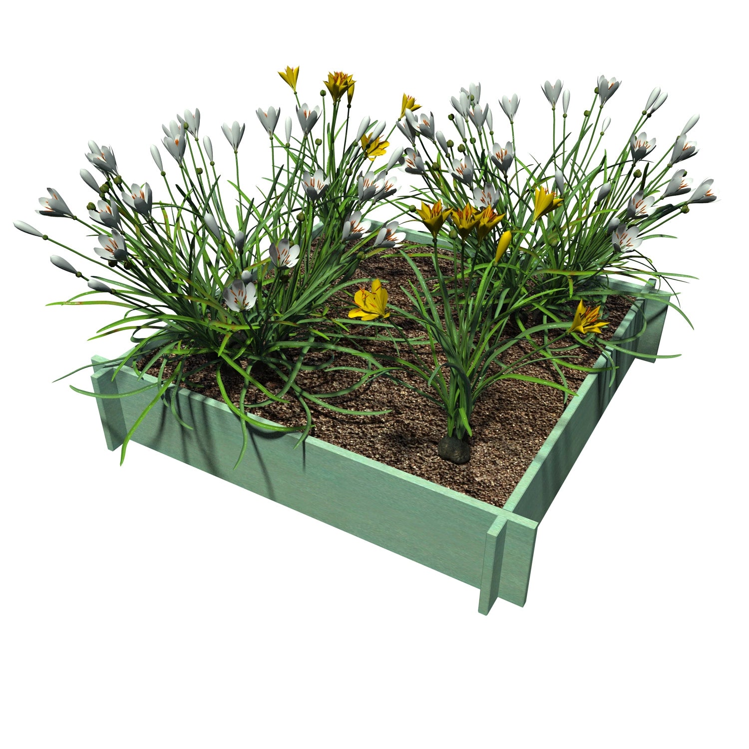 Raised Garden Beds