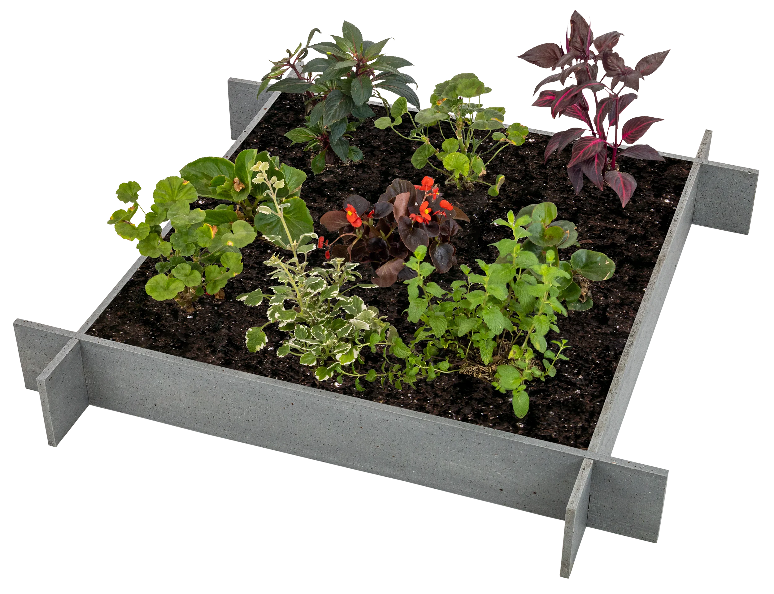 OUTLET - Raised Garden Beds