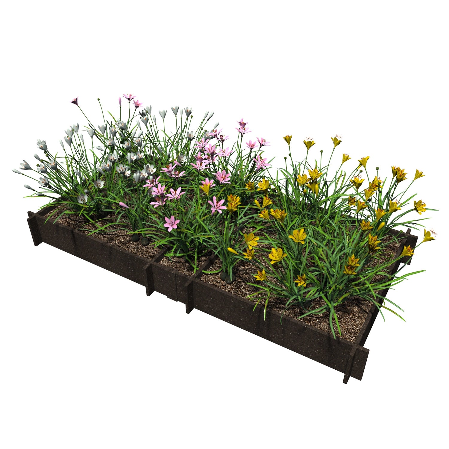 Raised Garden Beds
