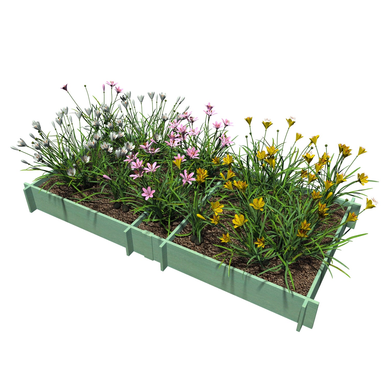 Raised Garden Beds