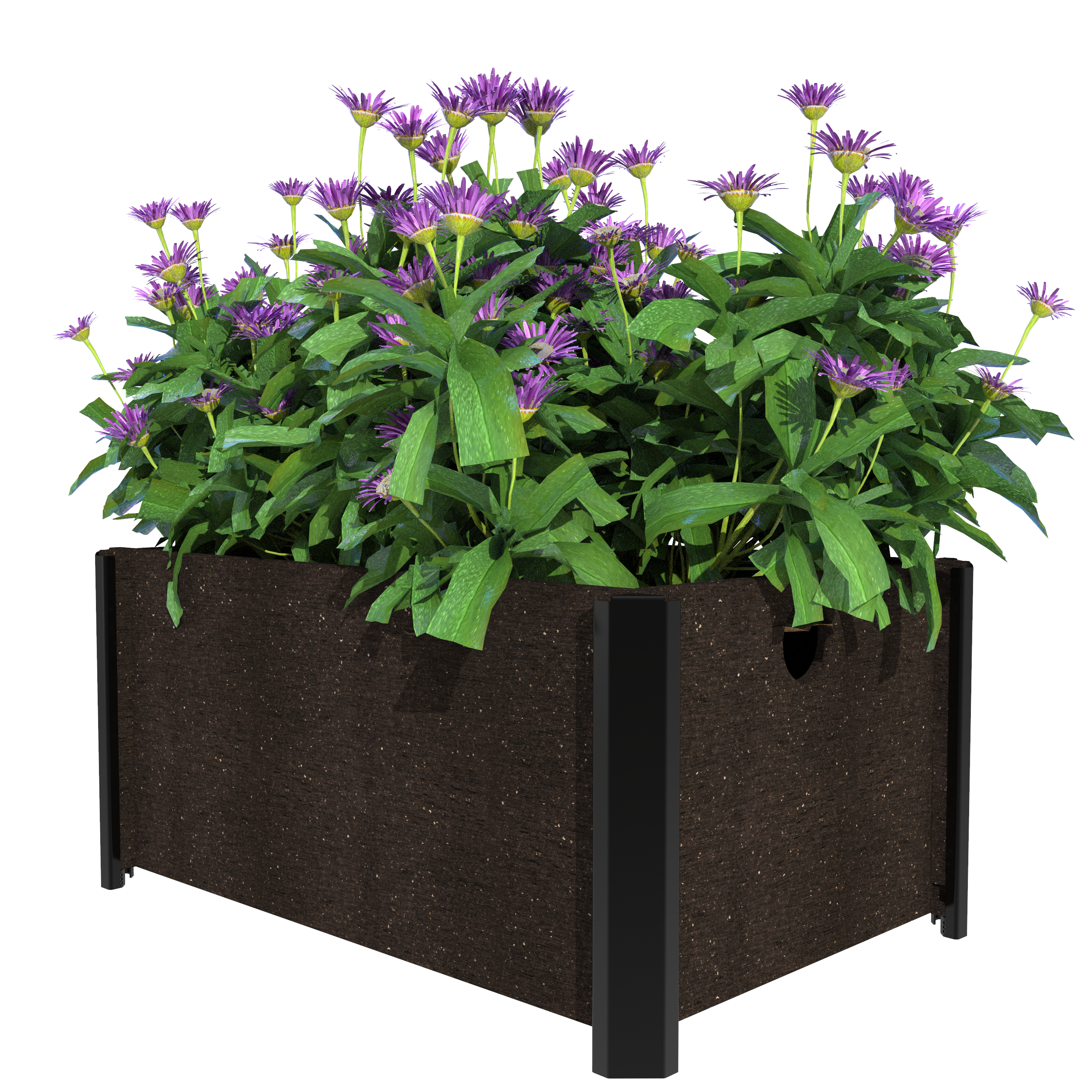 Planters