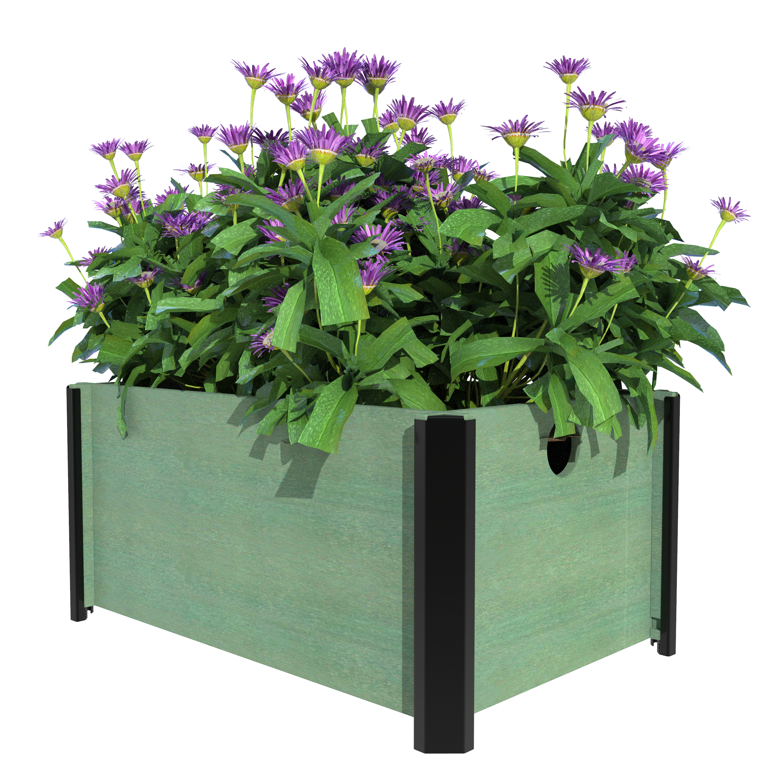 Planters