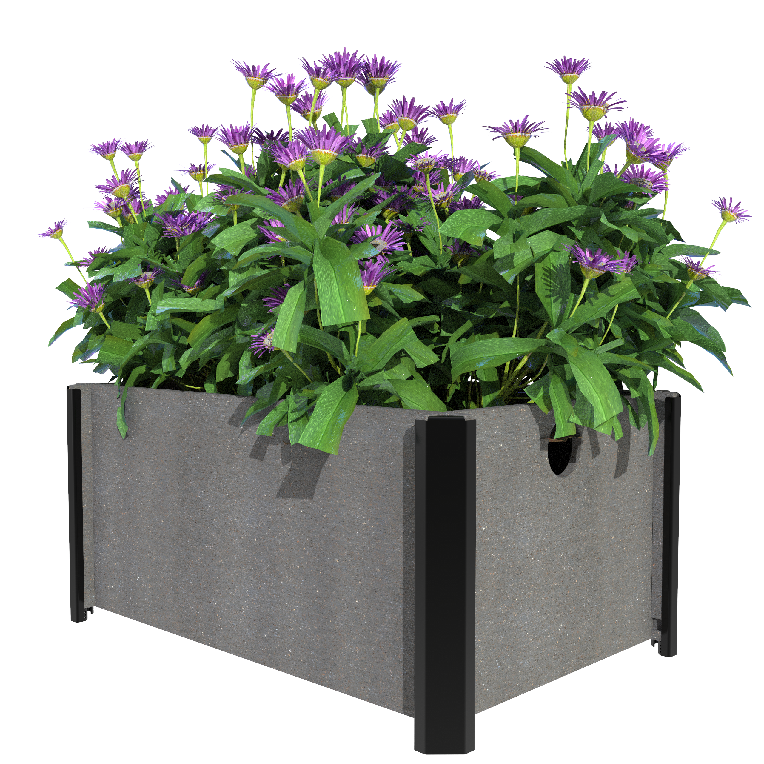 Planters