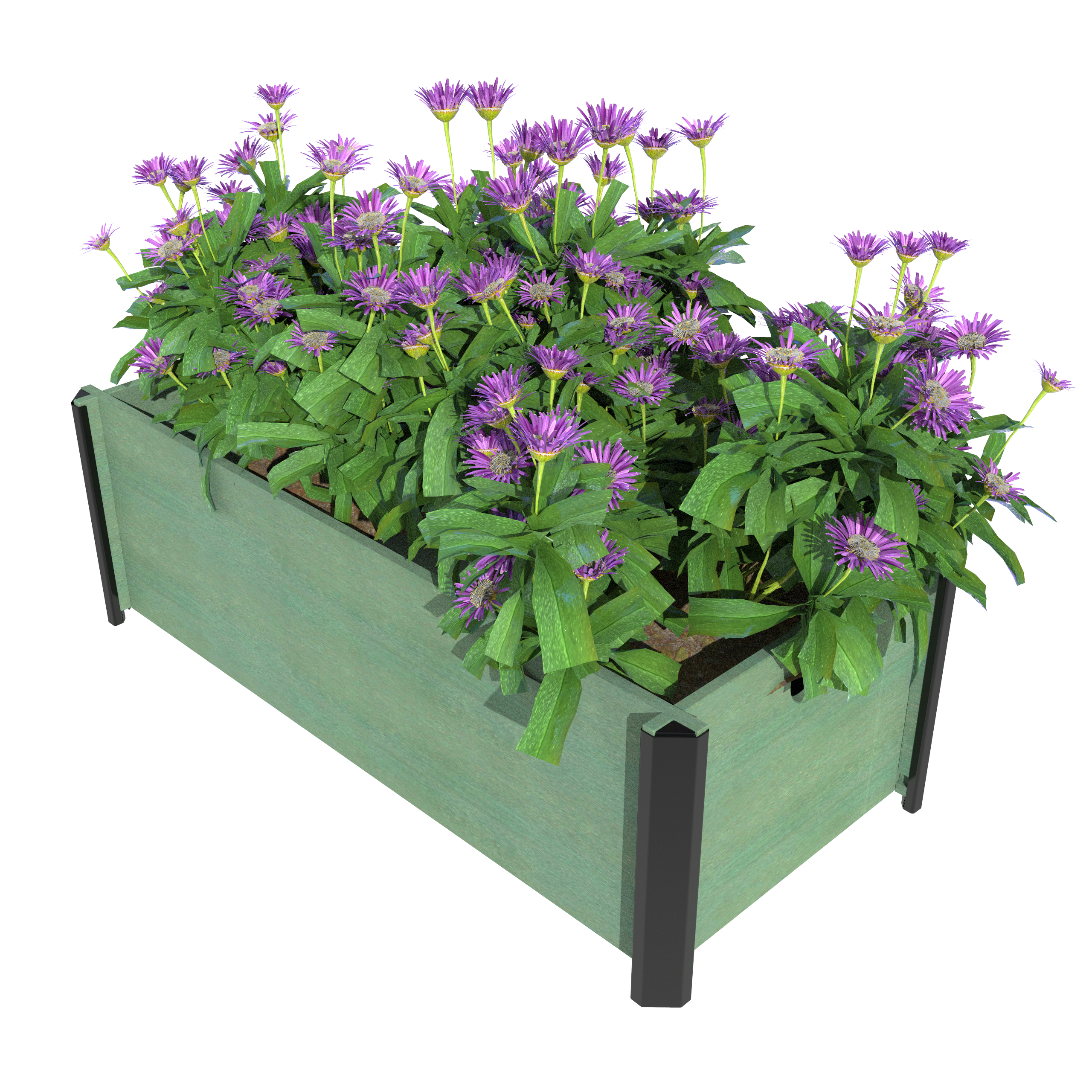 Planters