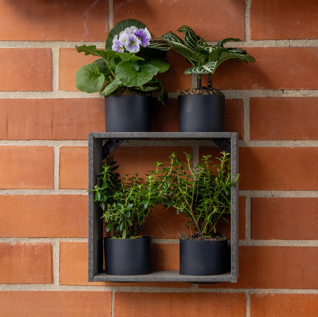 Best Indoor Wall Planter Ideas for Modern Apartments and Small Homes