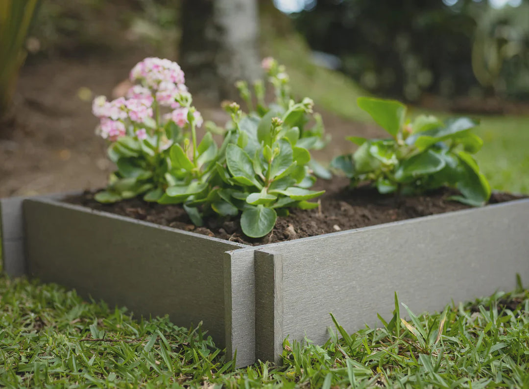 How to Choose the Right Raised Garden Bed Size