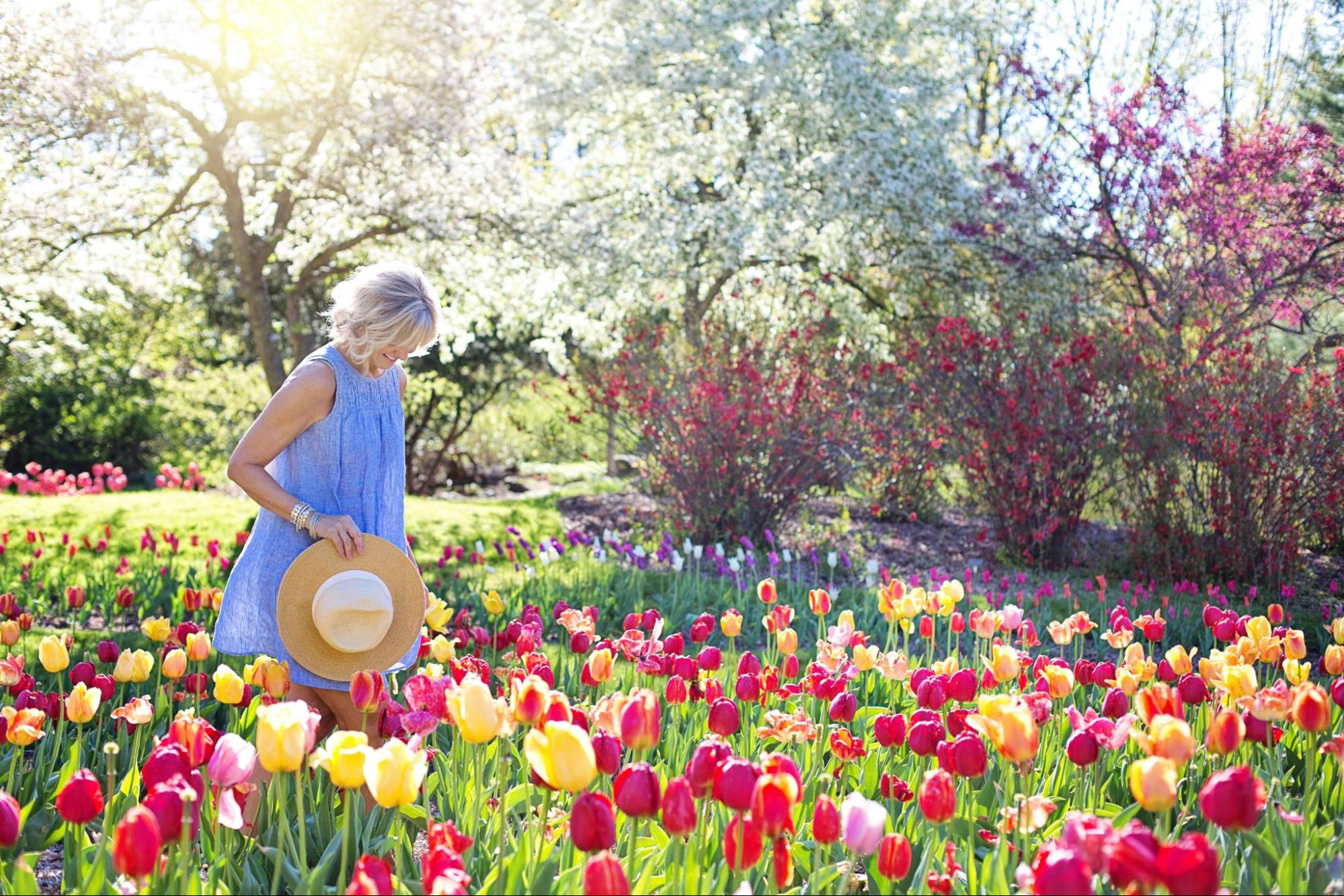 How to Choose the Best Raised Garden Bed Material
