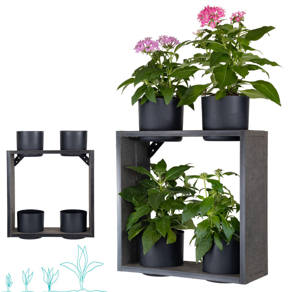 Hanging Garden Case - Wall Mount