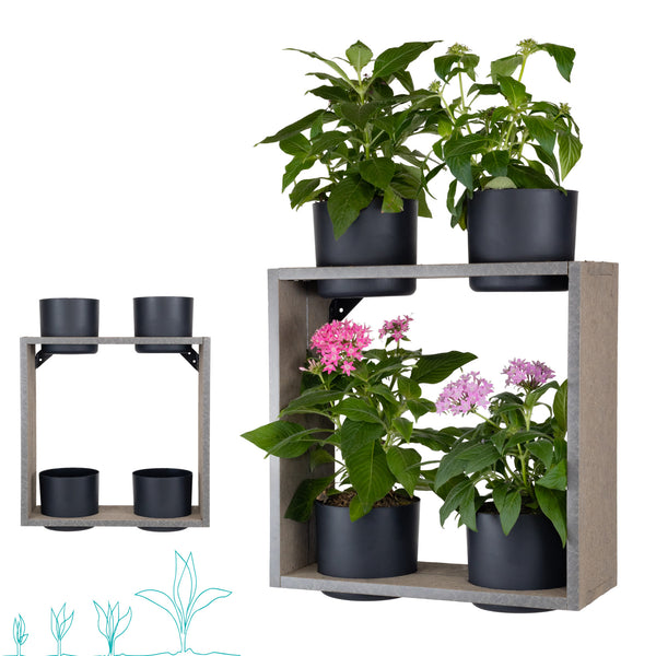 Hanging Garden Case - Wall Mount