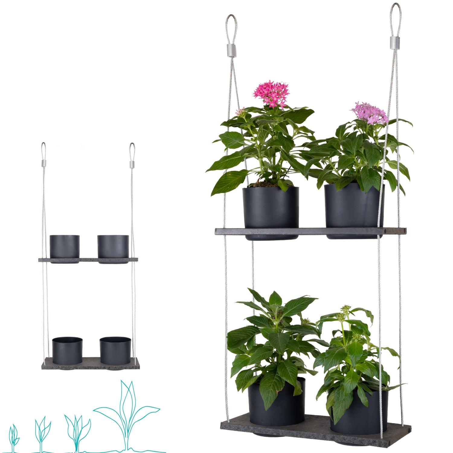 Hanging Garden Shelves - Wall or Ceiling Mount