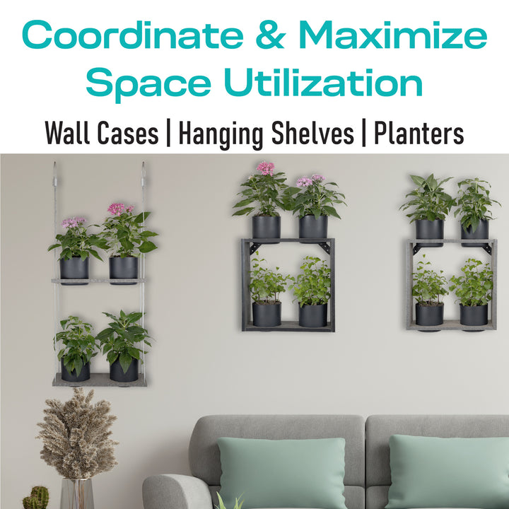 hanging plant wall shelf Hanging Garden Combo Pack