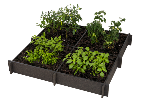 Raised Garden Beds -QUADS