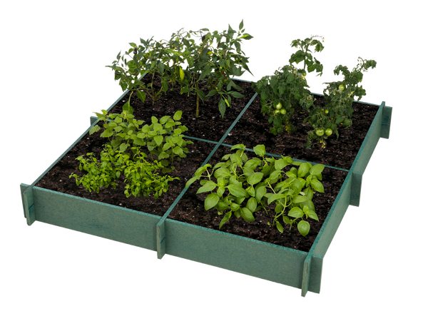 Raised Garden Beds -QUADS