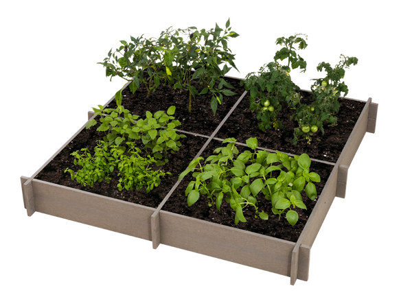 Raised Garden Beds -QUADS