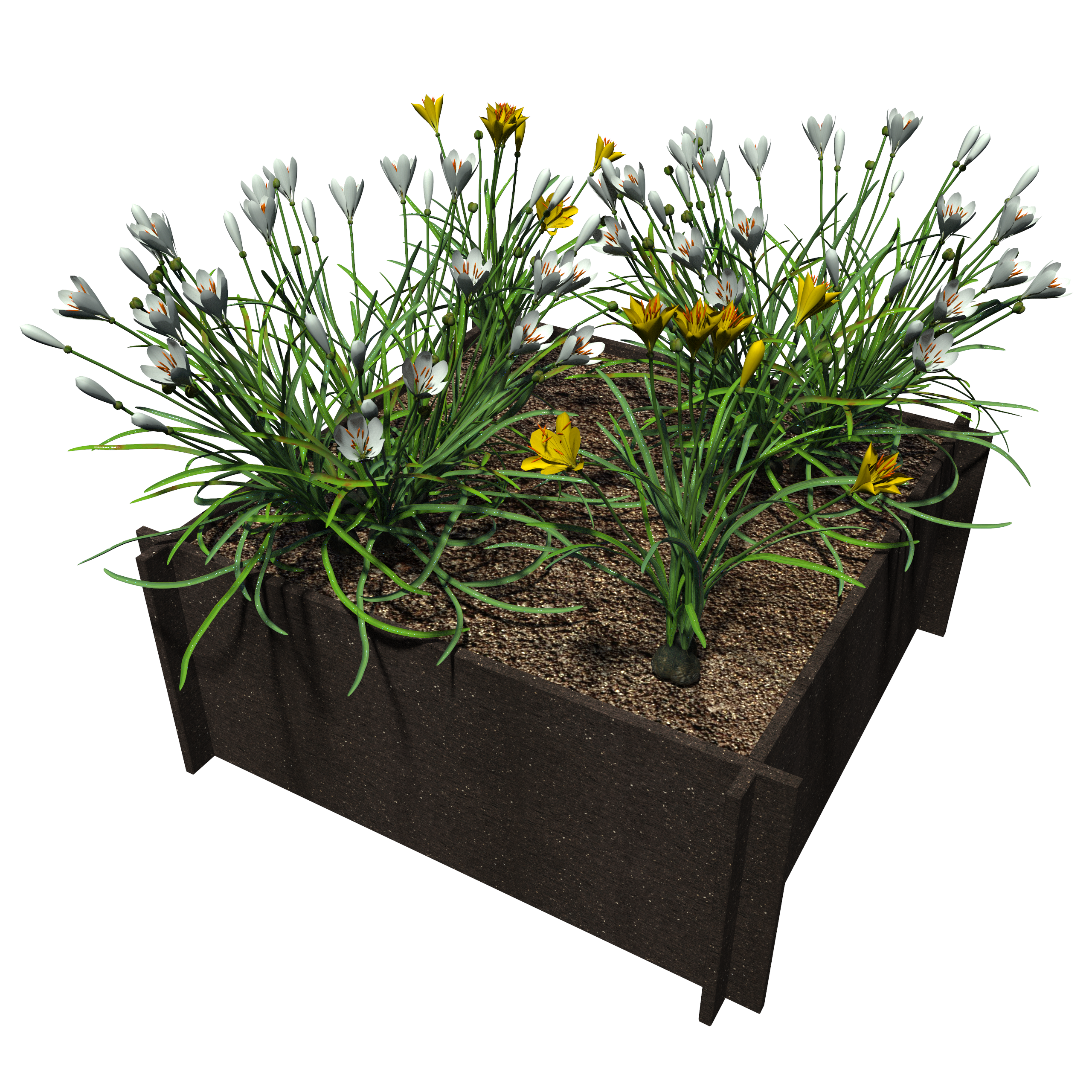 Raised Garden Beds