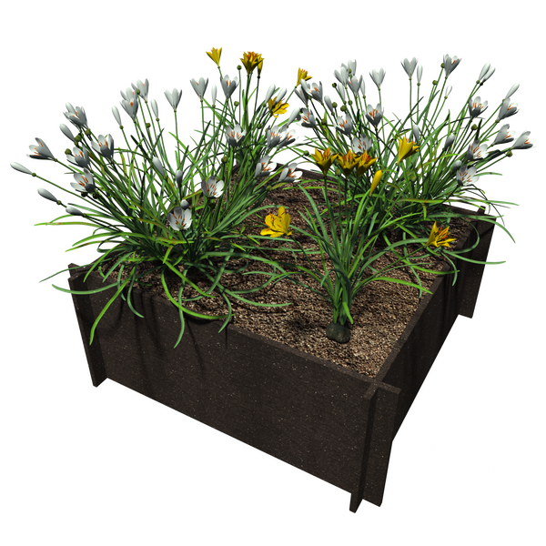 Raised Garden Beds