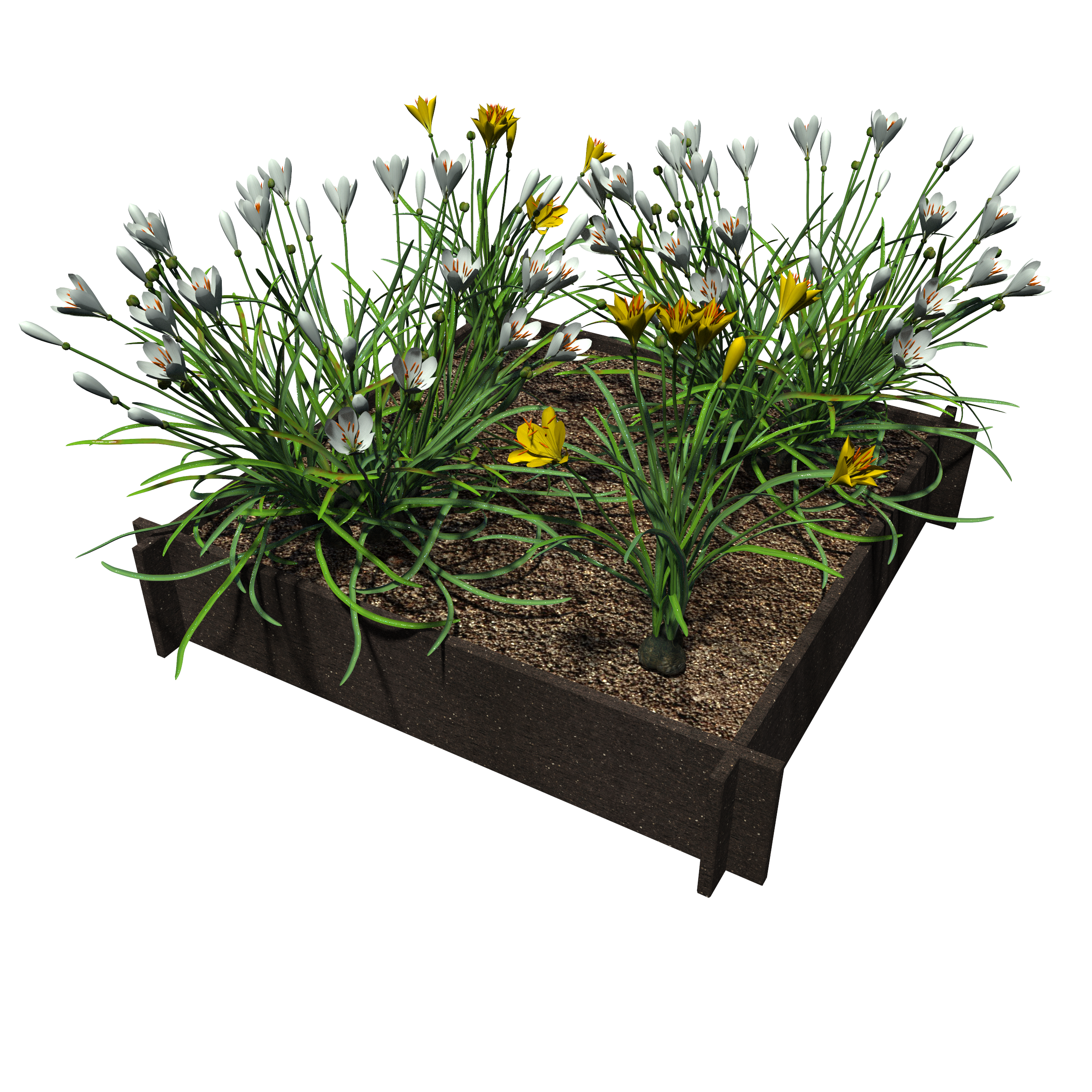 Raised Garden Beds