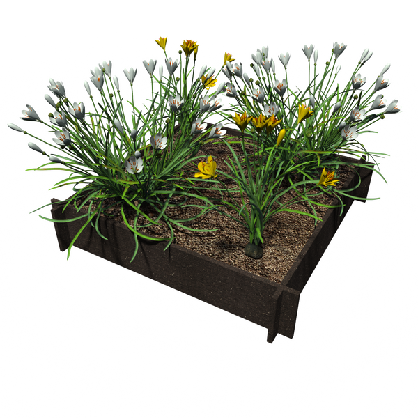 Raised Garden Beds