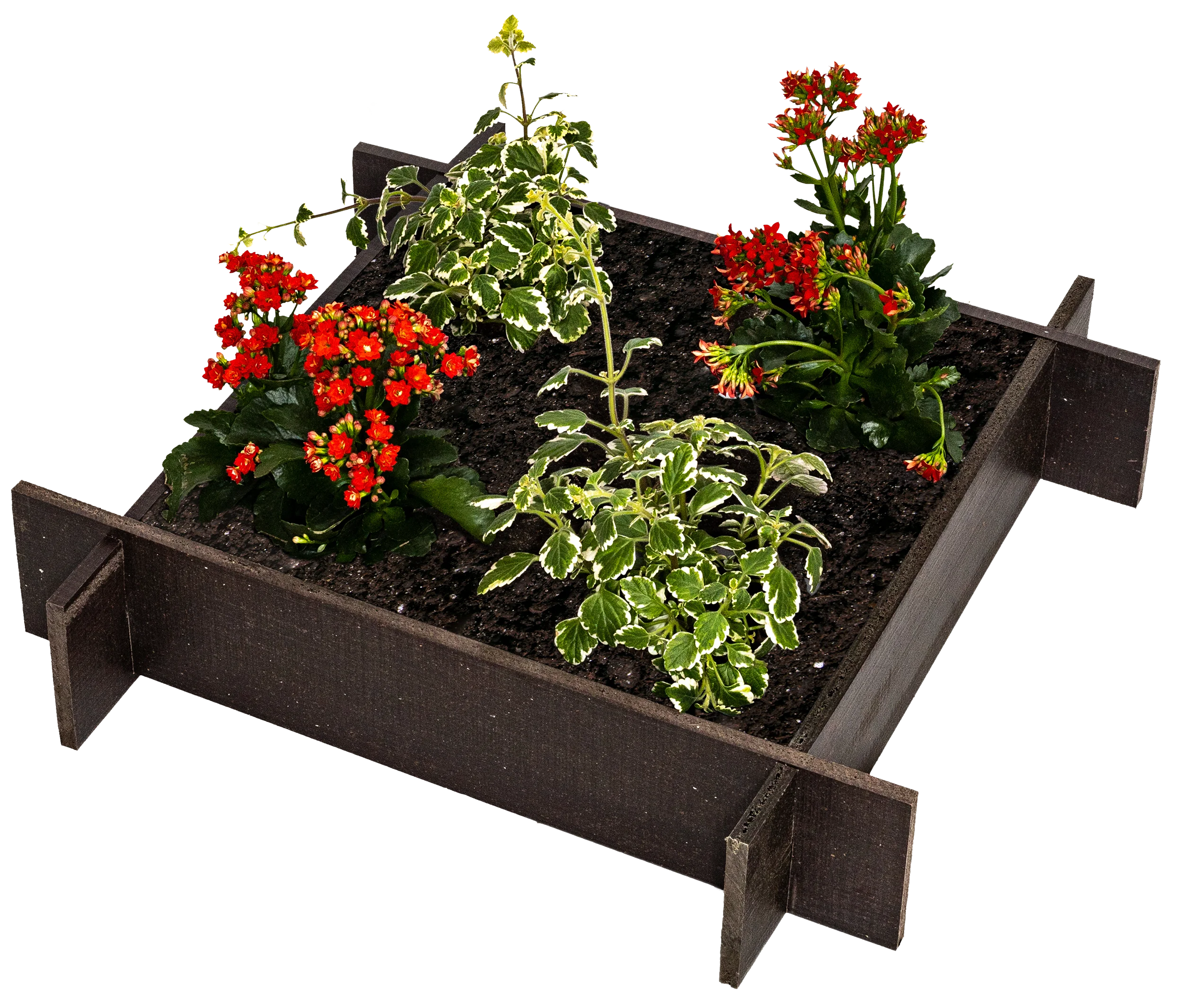OUTLET - Raised Garden Beds