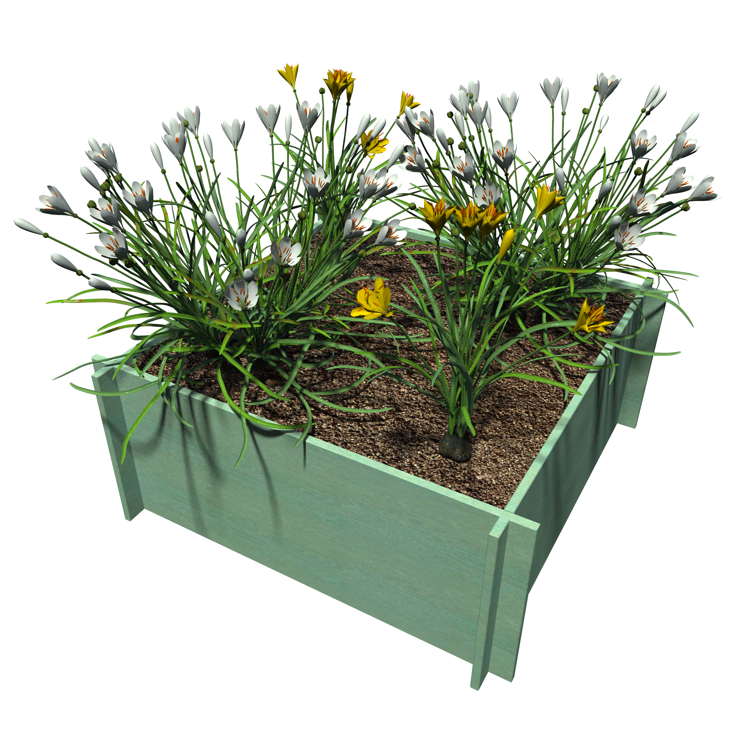 Raised Garden Beds