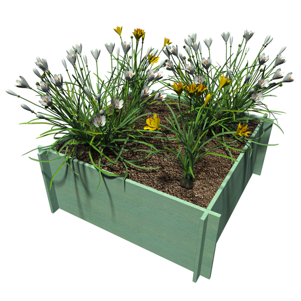 Raised Garden Beds