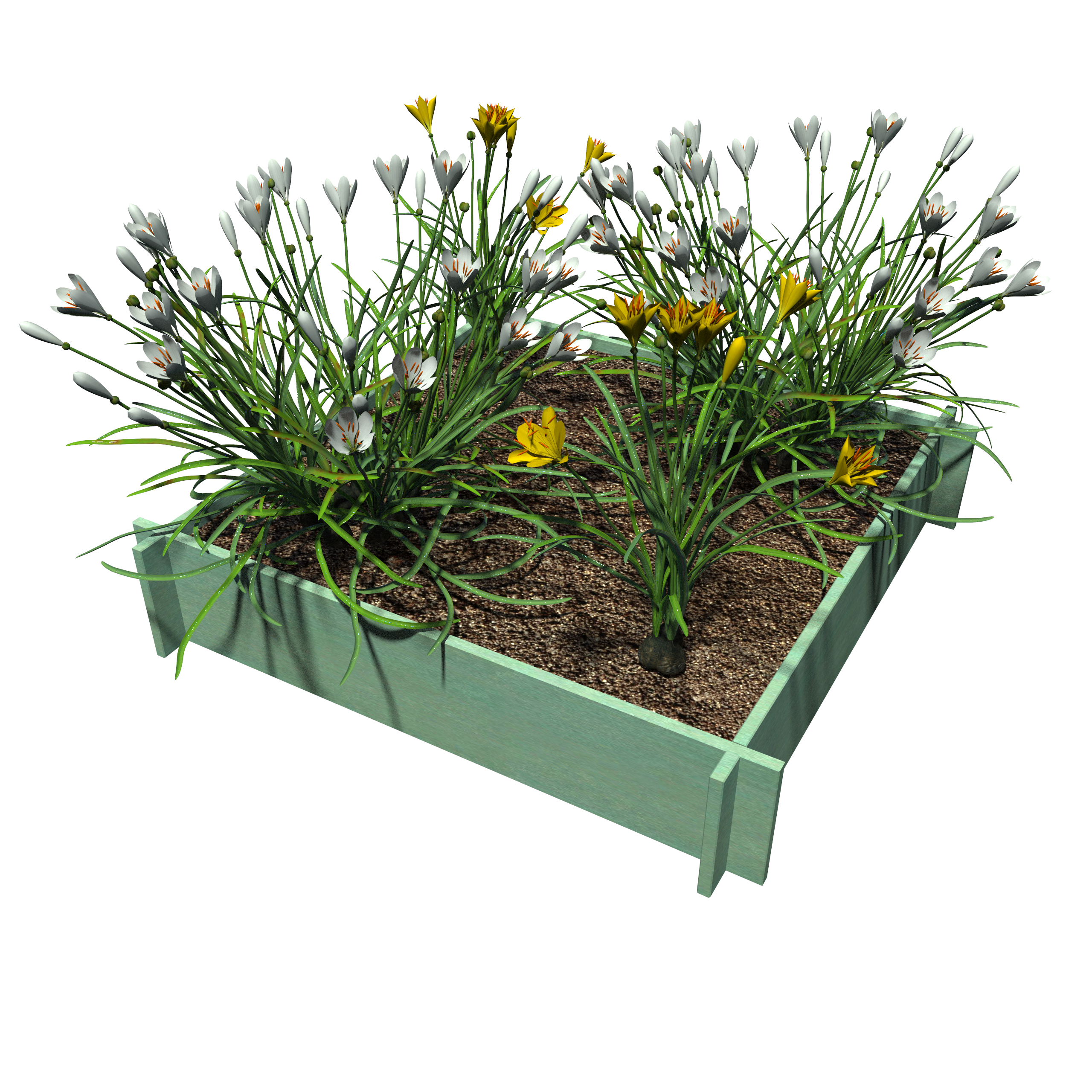 Raised Garden Beds