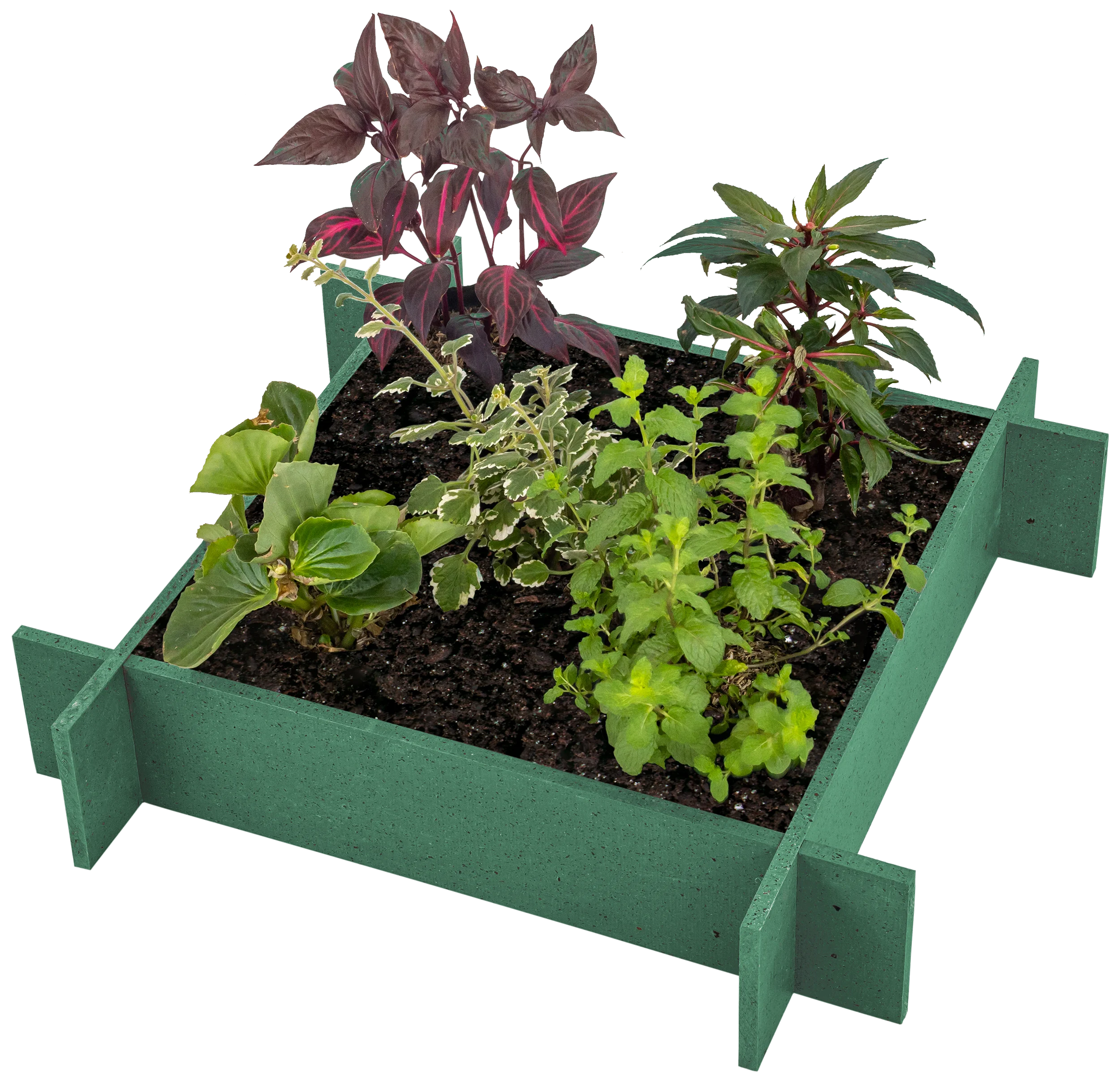 OUTLET - Raised Garden Beds