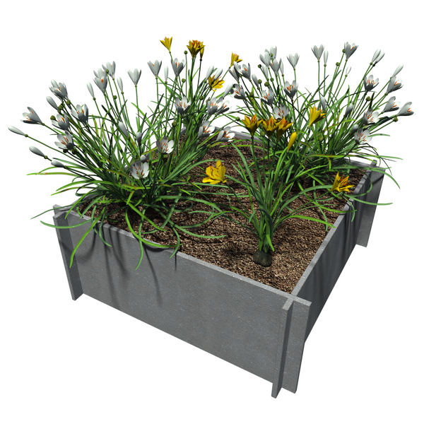 Raised Garden Beds