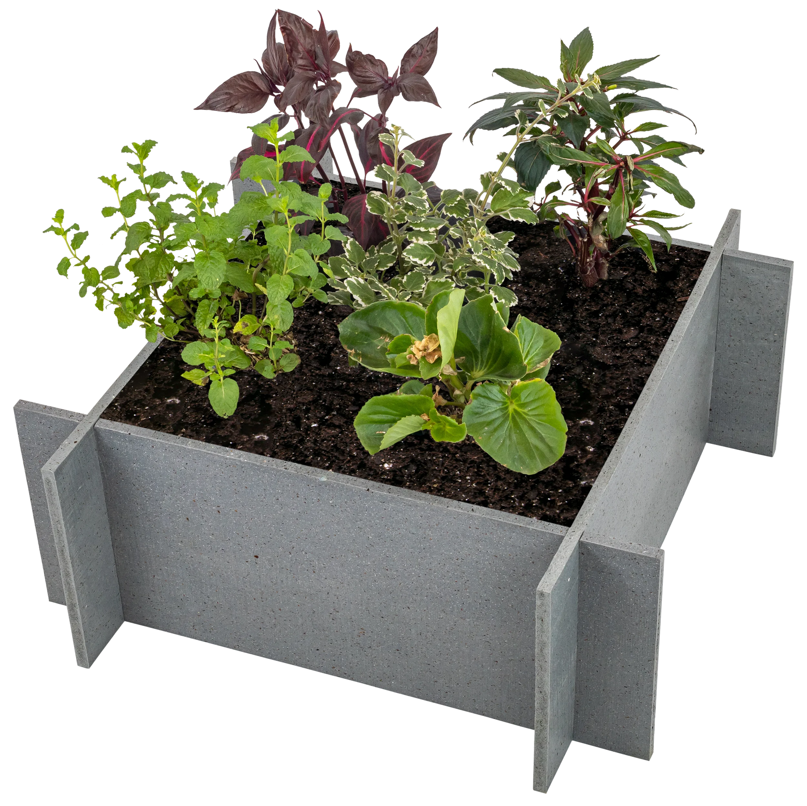 Raised Garden Beds - 10" Walls