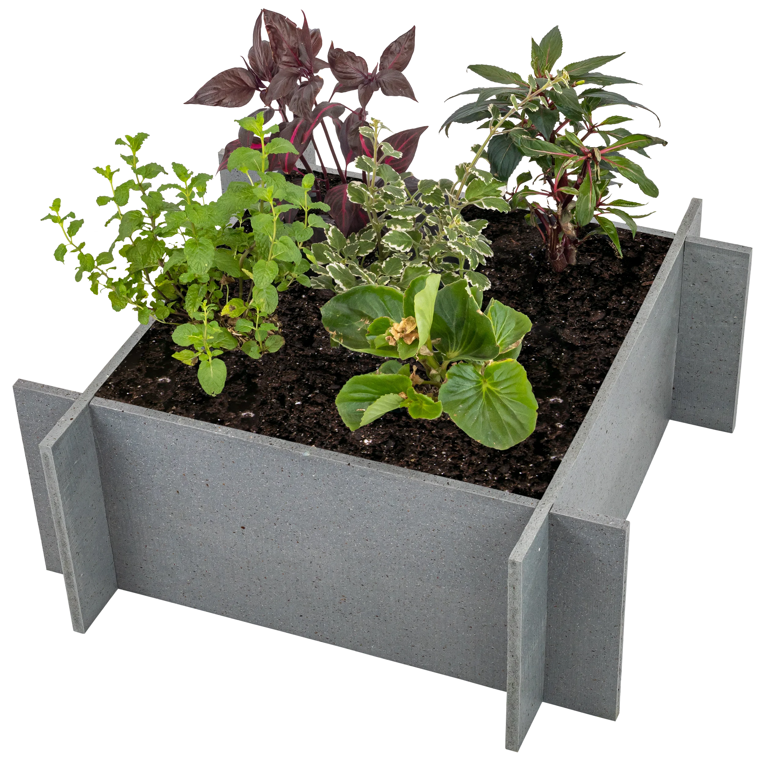 OUTLET - Raised Garden Beds