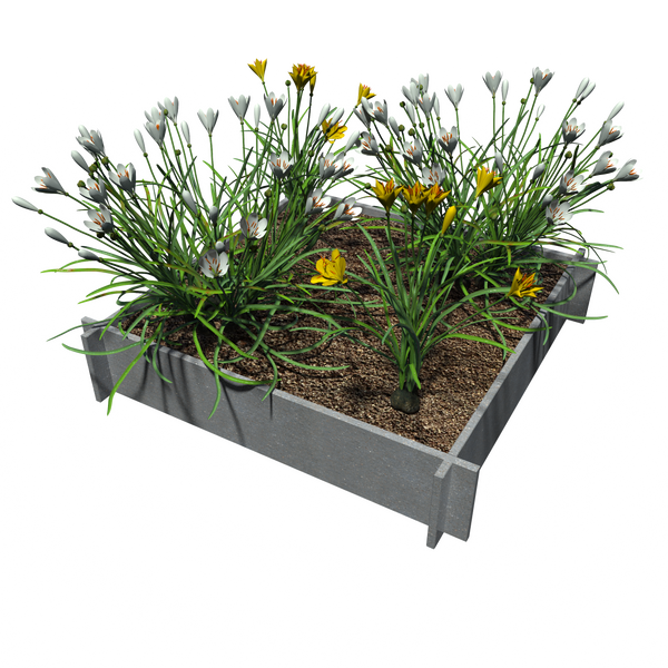 Raised Garden Beds