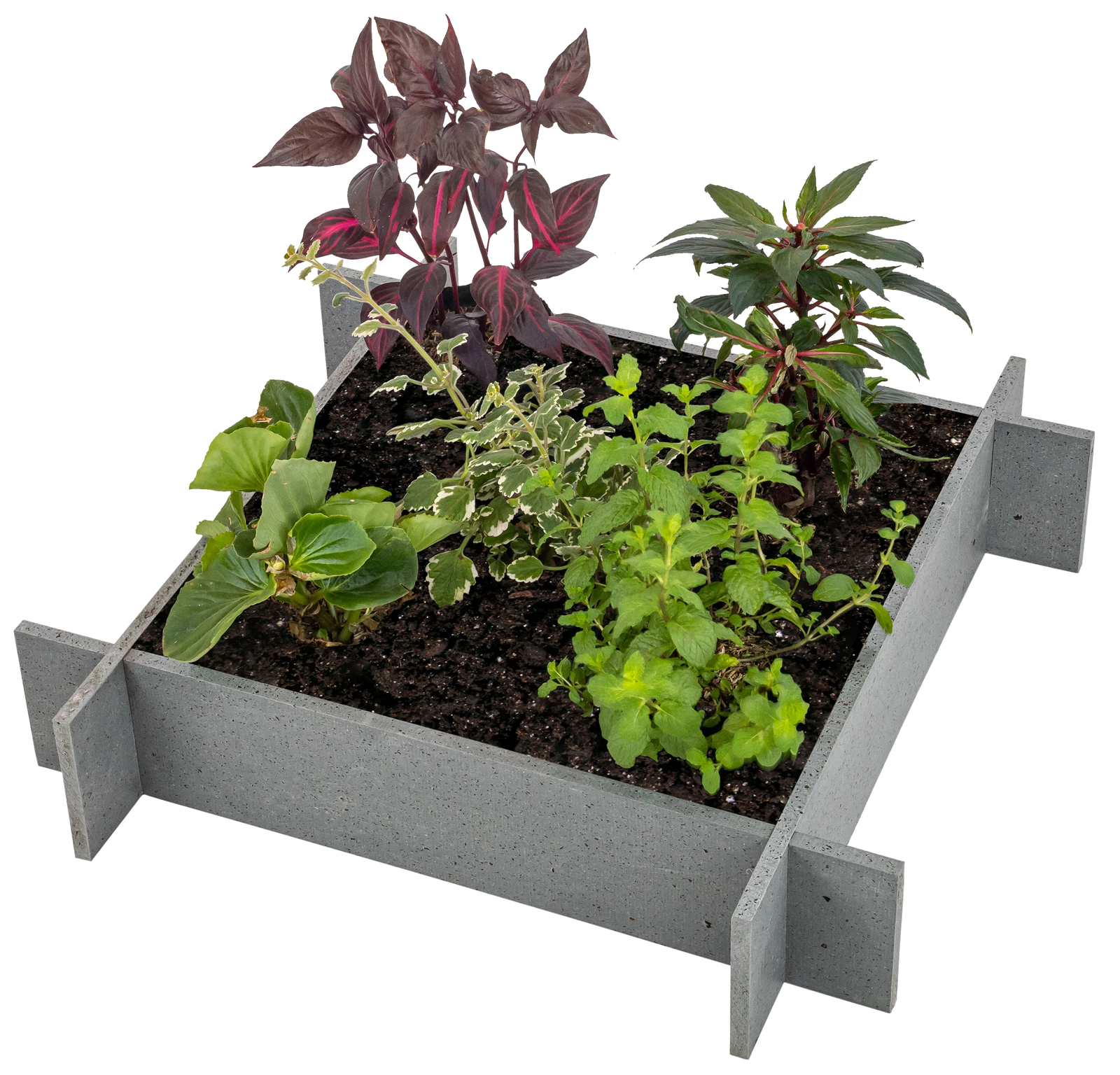 Raised Garden Beds - 5" Walls