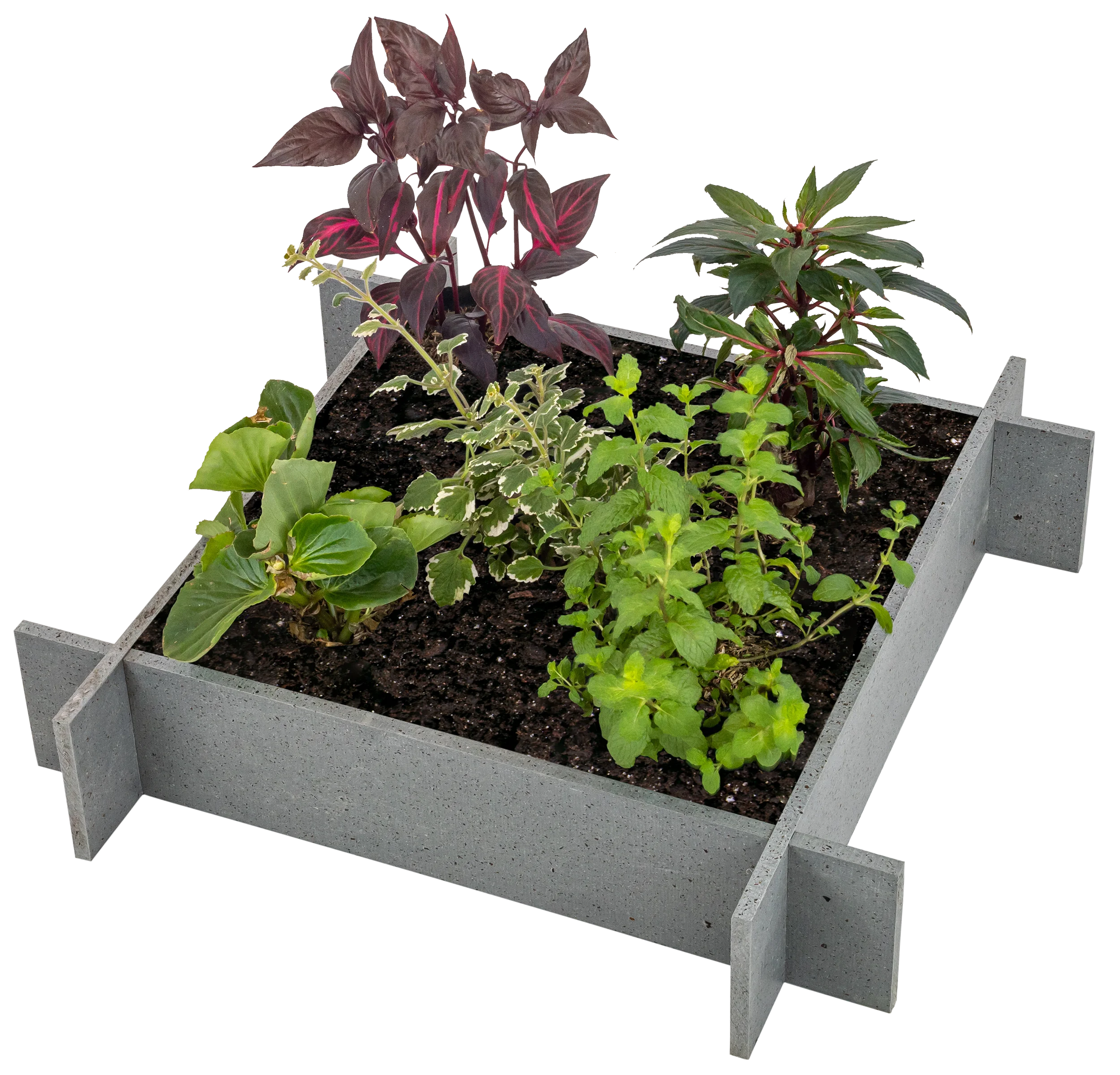 OUTLET - Raised Garden Beds