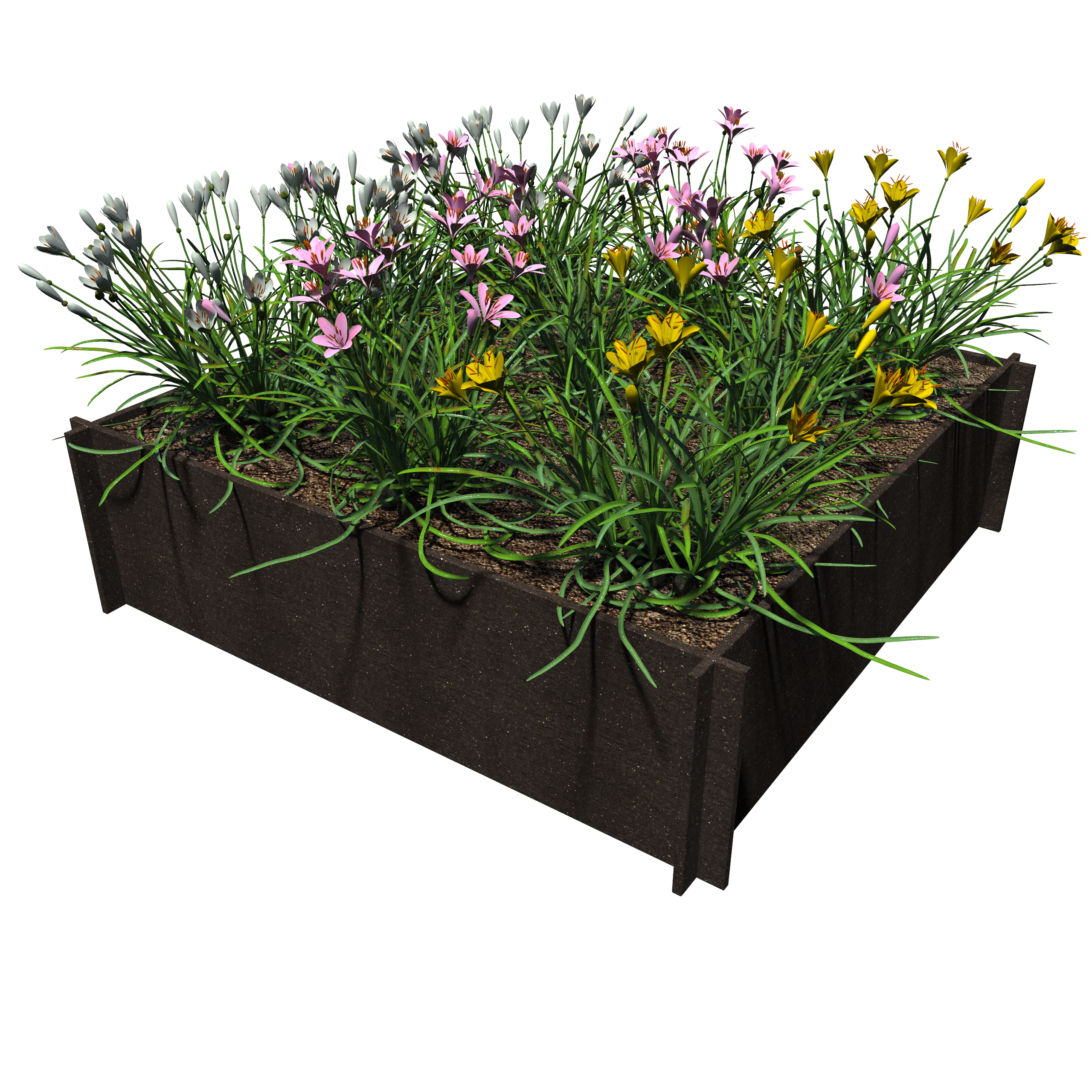 Raised Garden Beds