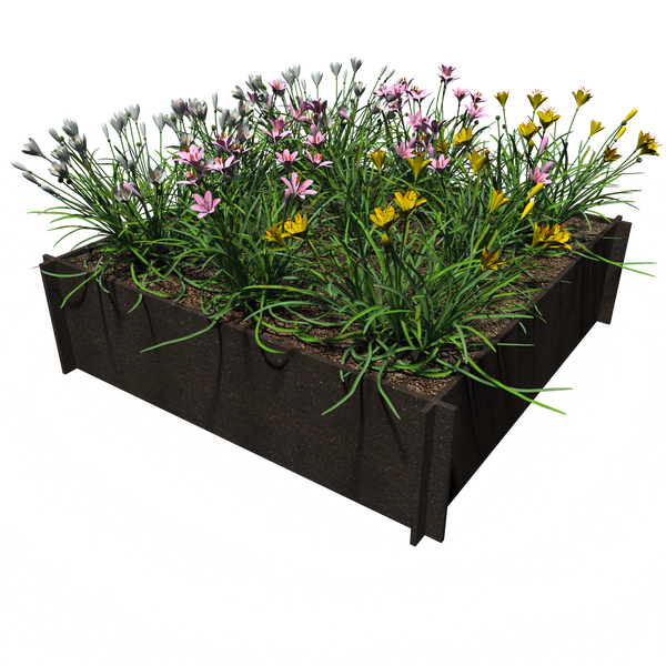 Raised Garden Beds