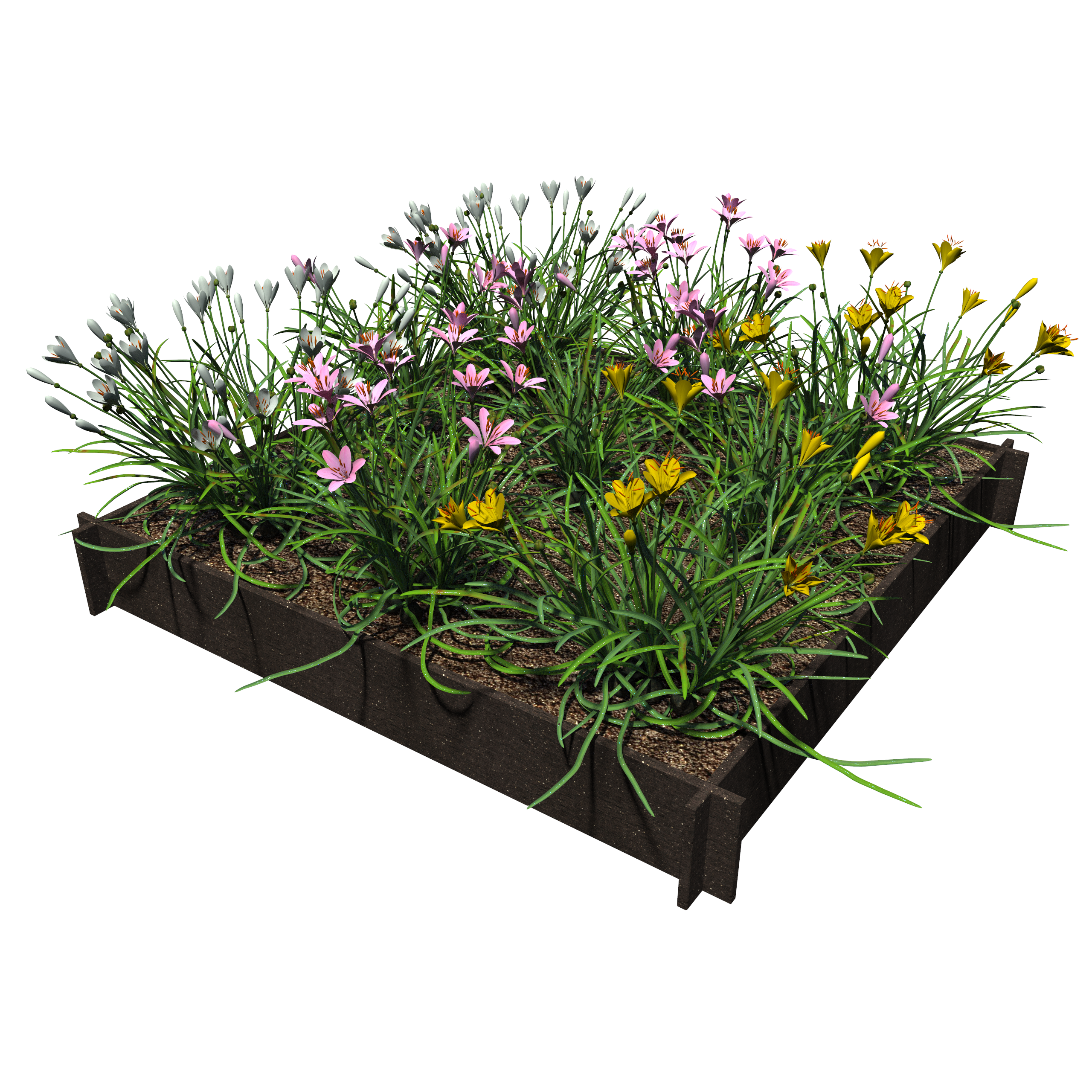 Raised Garden Beds