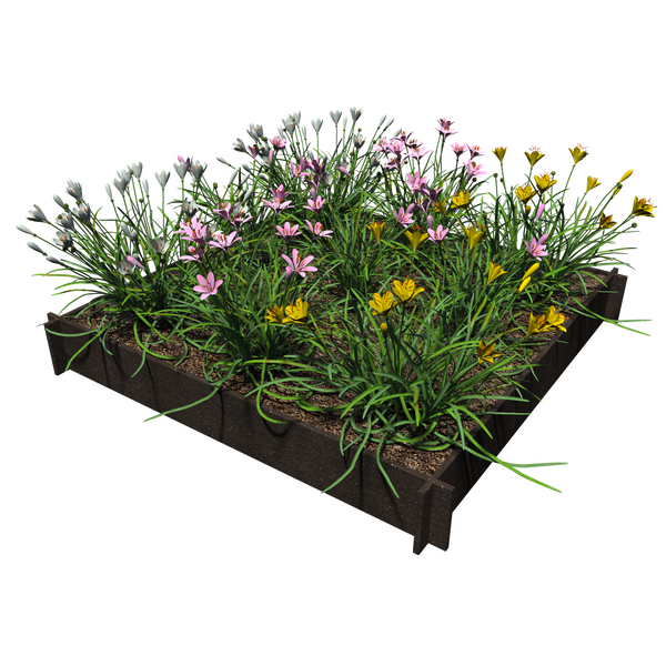 Raised Garden Beds