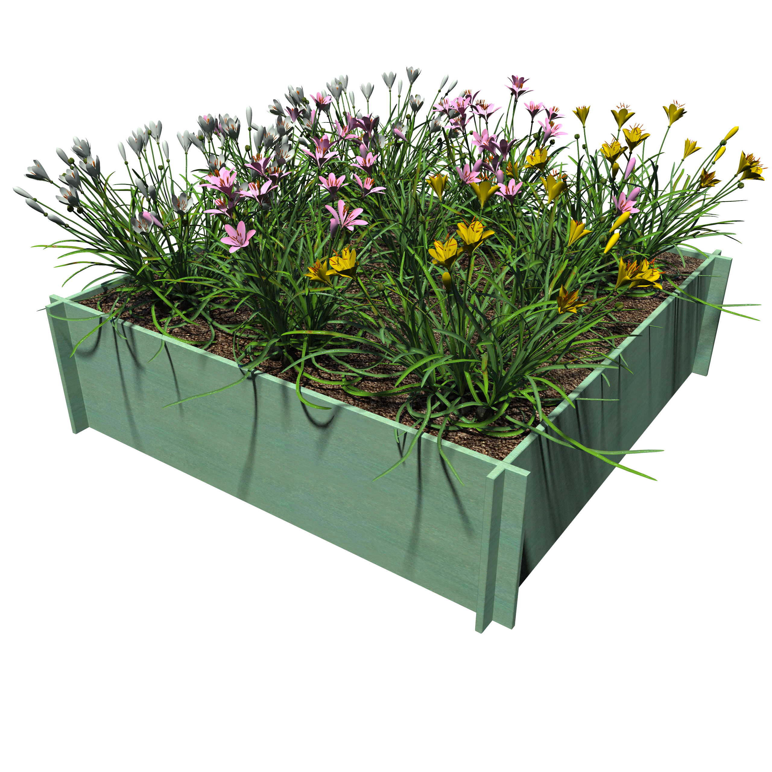 Raised Garden Beds