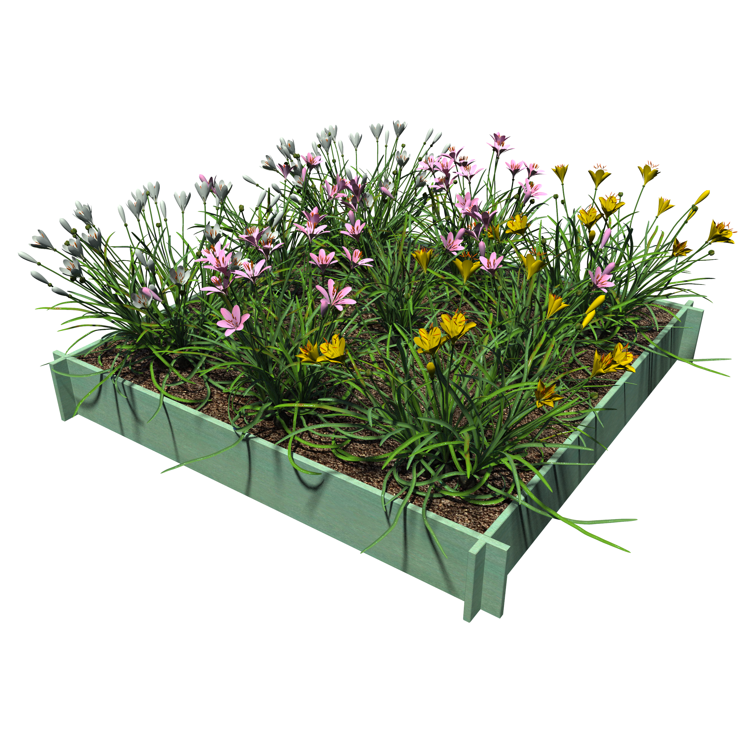 Raised Garden Beds