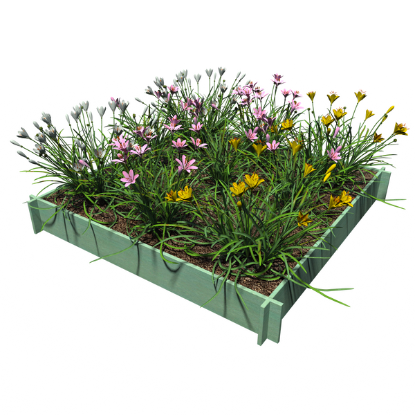 Raised Garden Beds