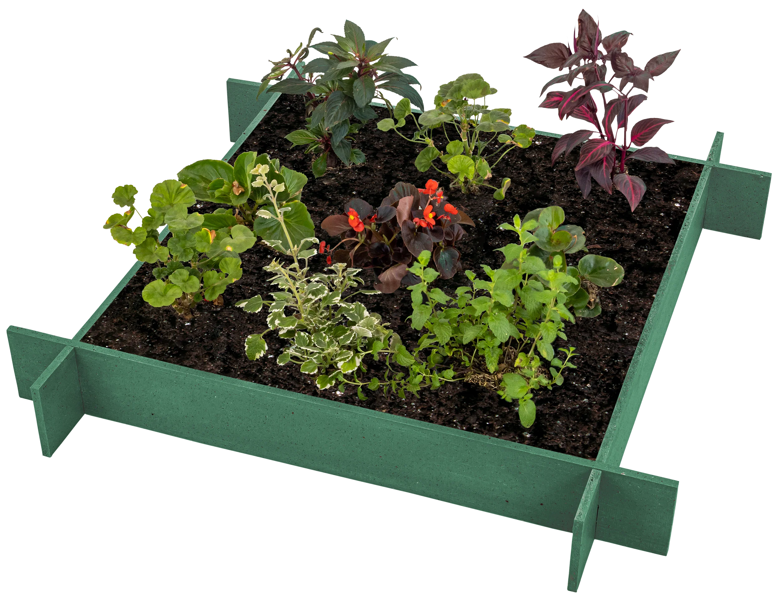 OUTLET - Raised Garden Beds