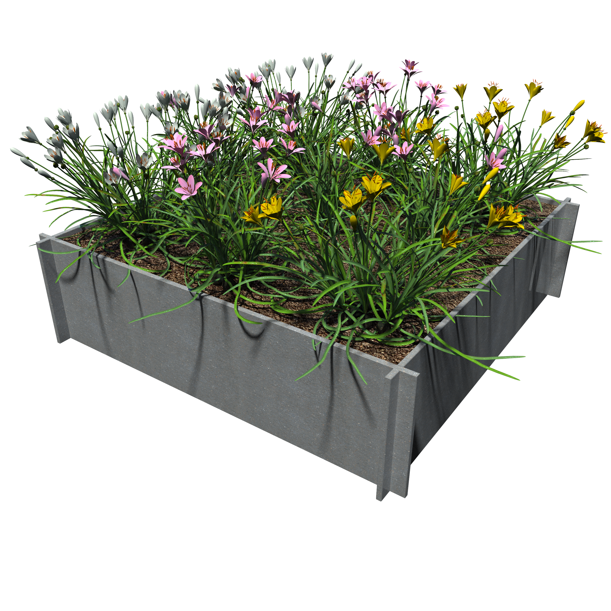 Raised Garden Beds