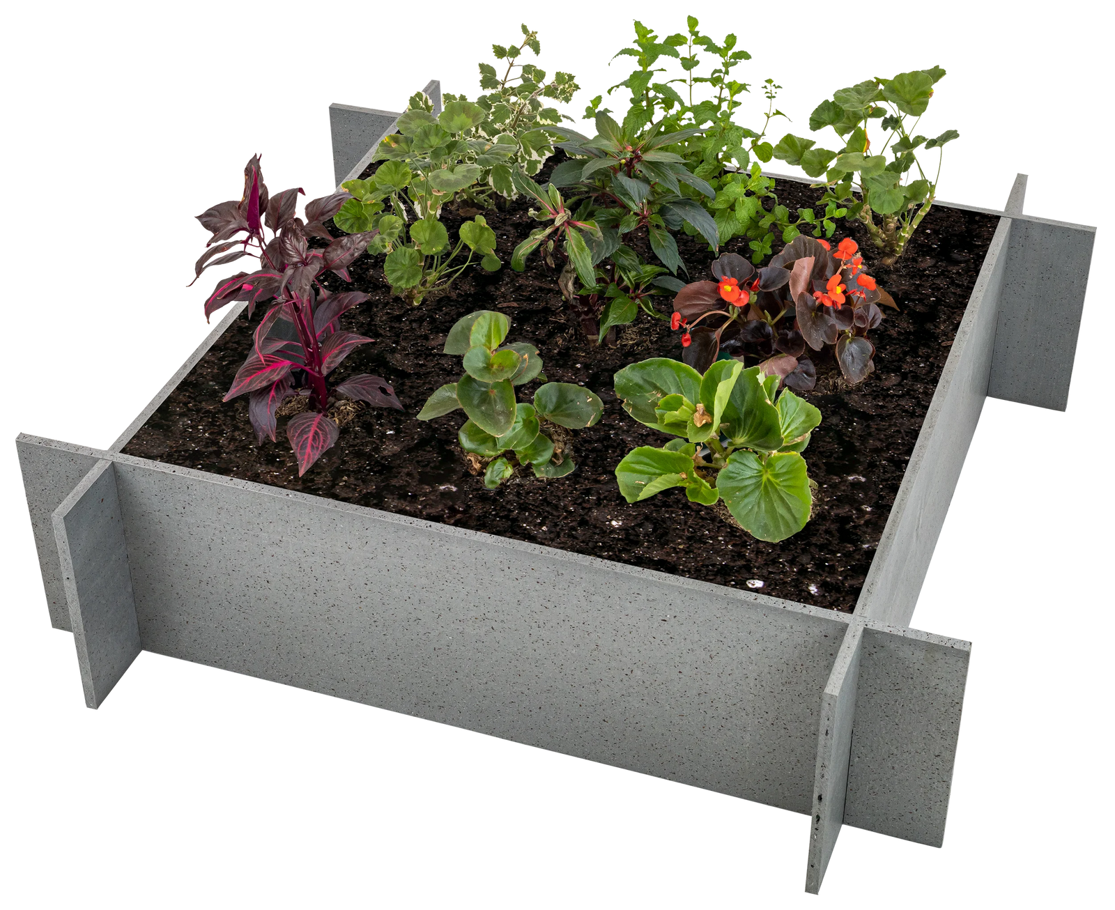 Raised Garden Beds - 10" Walls