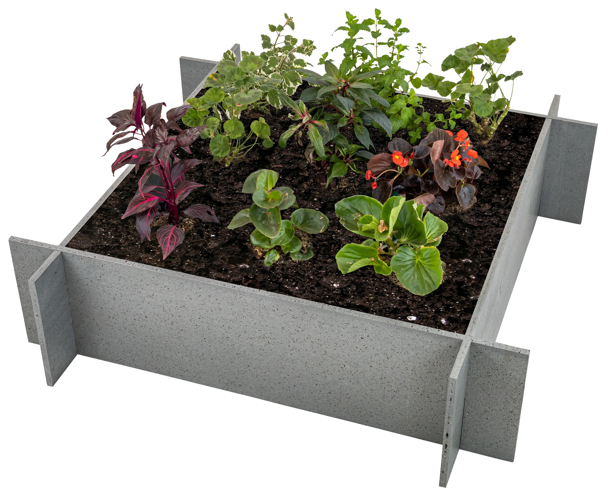 OUTLET - Raised Garden Beds