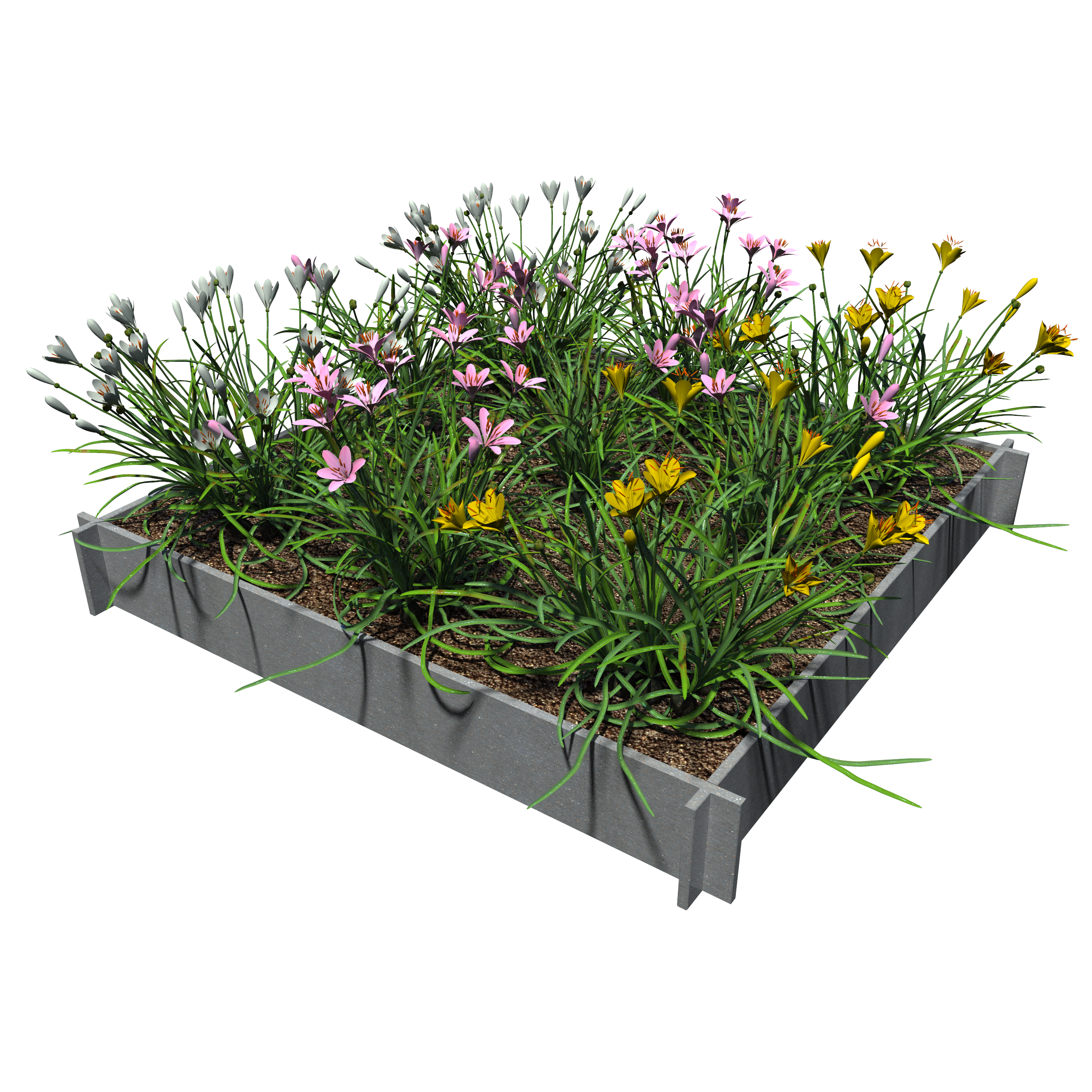 Raised Garden Beds