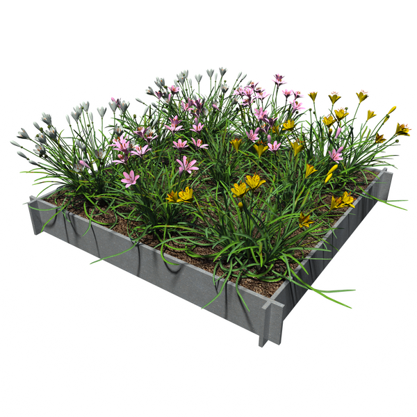 Raised Garden Beds